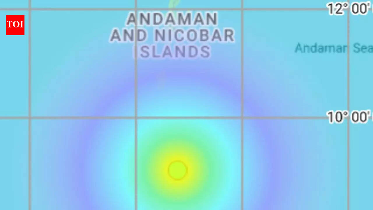 Earthquake of 4.6 magnitude strikes Andaman and Nicobar Islands