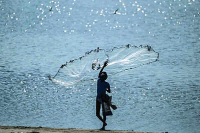 Budget 2026: FM marches on Kartavya Path, balances 'poll'itics & economics