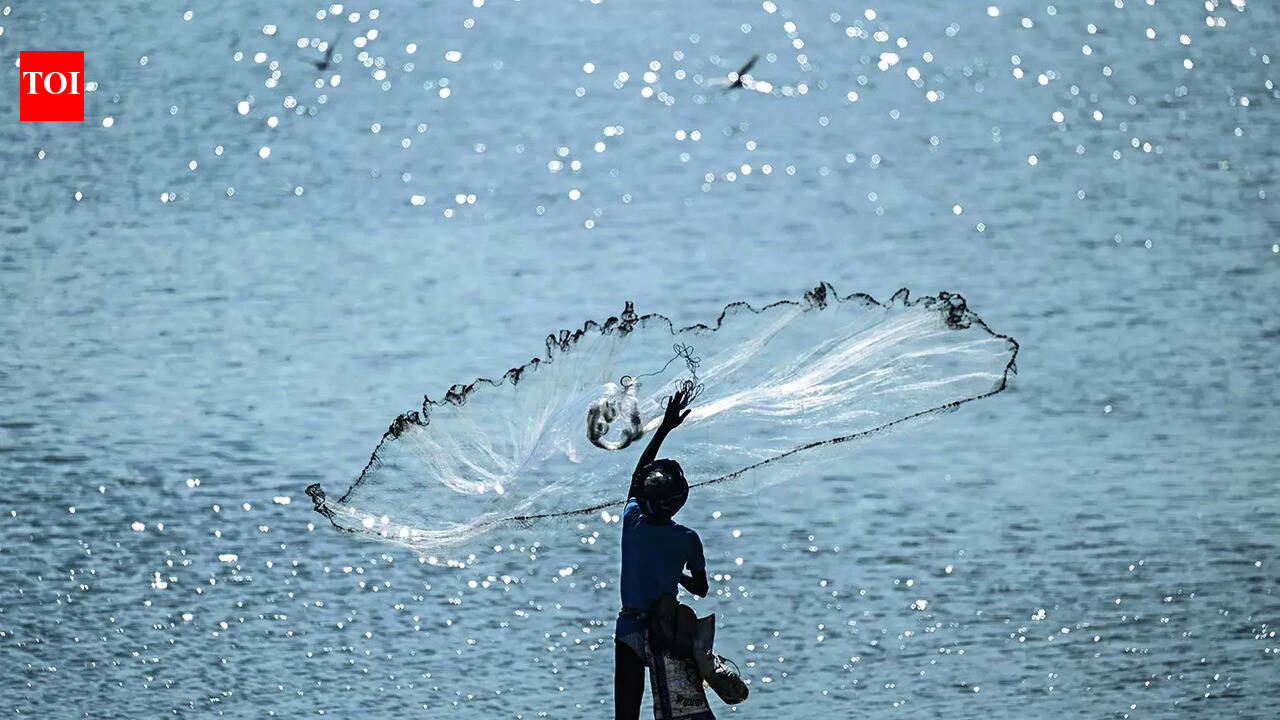 Budget 2026: FM marches on Kartavya Path, balances 'poll'itics & economics