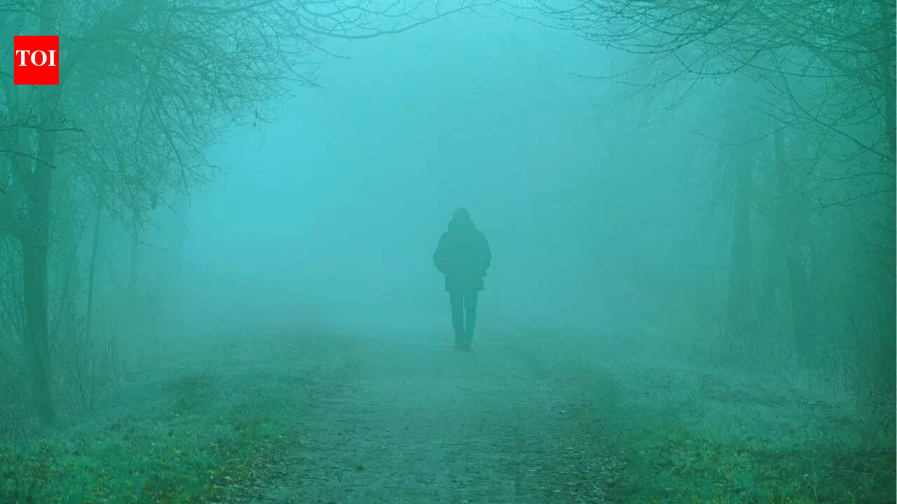 What’s the weather today: Why is Delhi heading into a cooler, foggy spell this week; rain and snow likely in western Himalayas