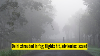 Delhi wakes up to dense fog; flight operations disrupted, airport and airlines issue advisory