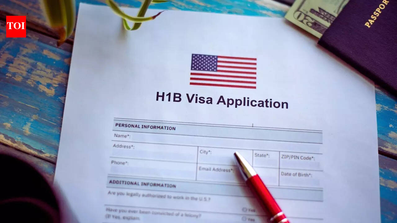 IT professional shares why despite having a successful career she is forced to quit USA