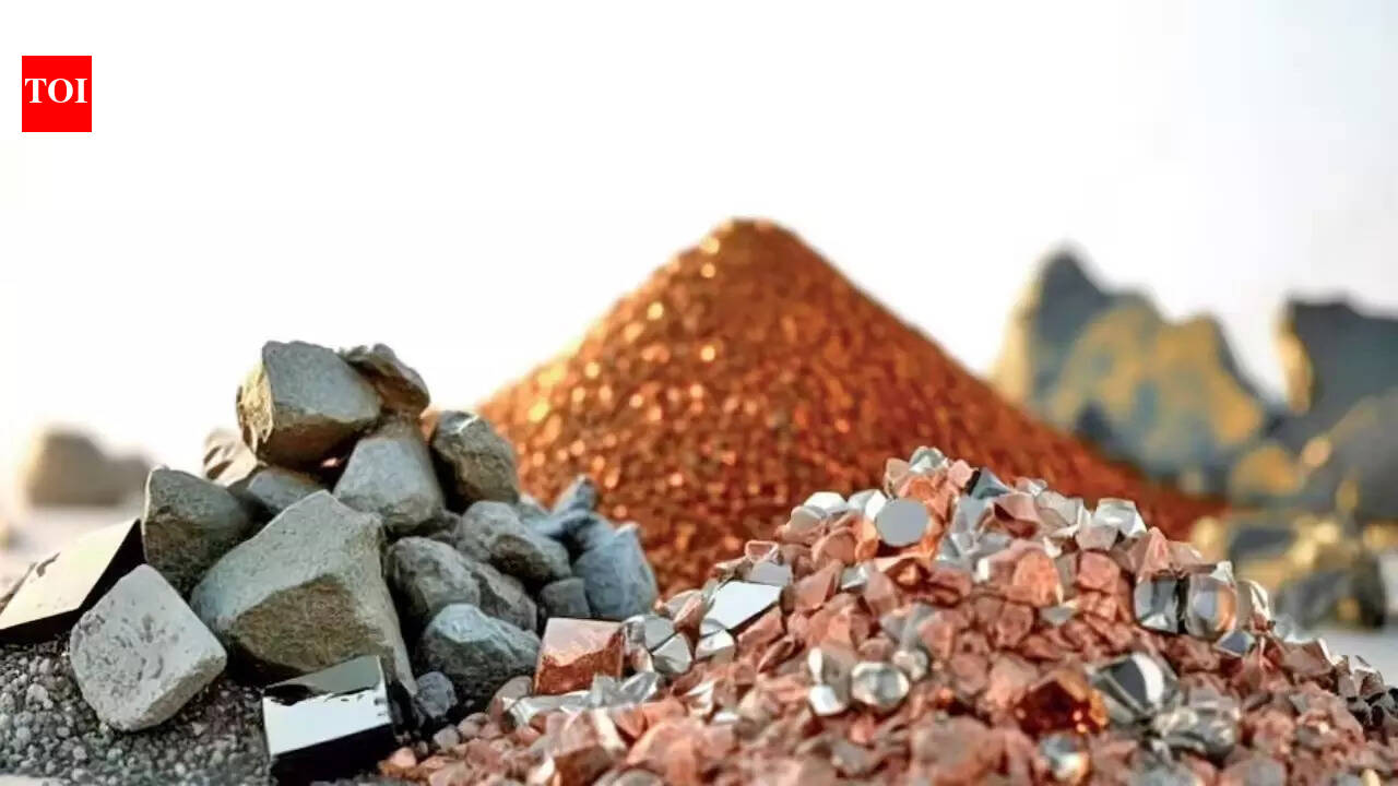 Union Budget 2026: Rare earth corridor a game changer for Andhra Pradesh; what else state got