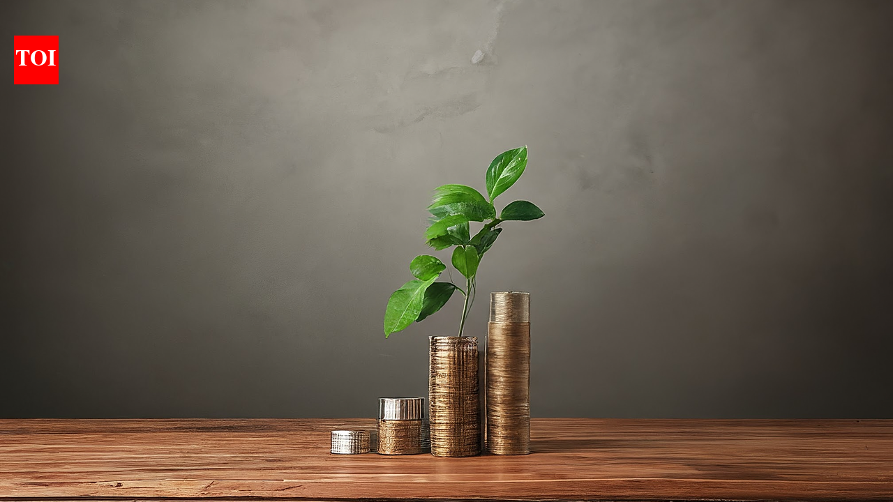 Gold, silver ETFs recover! After massive wipeoff, funds show stability; claw back 10% losses