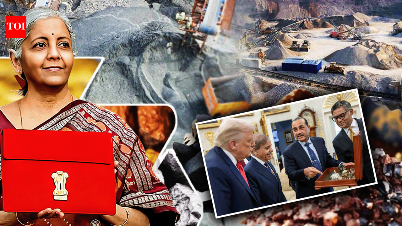 From Minerals Gift To Diplomatic Snub: Pakistan Misses Out On Key US Meet While India Takes Seat