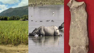 3,500-year-old rhino bone fragments found in Western Ghats rewrite India’s wildlife map