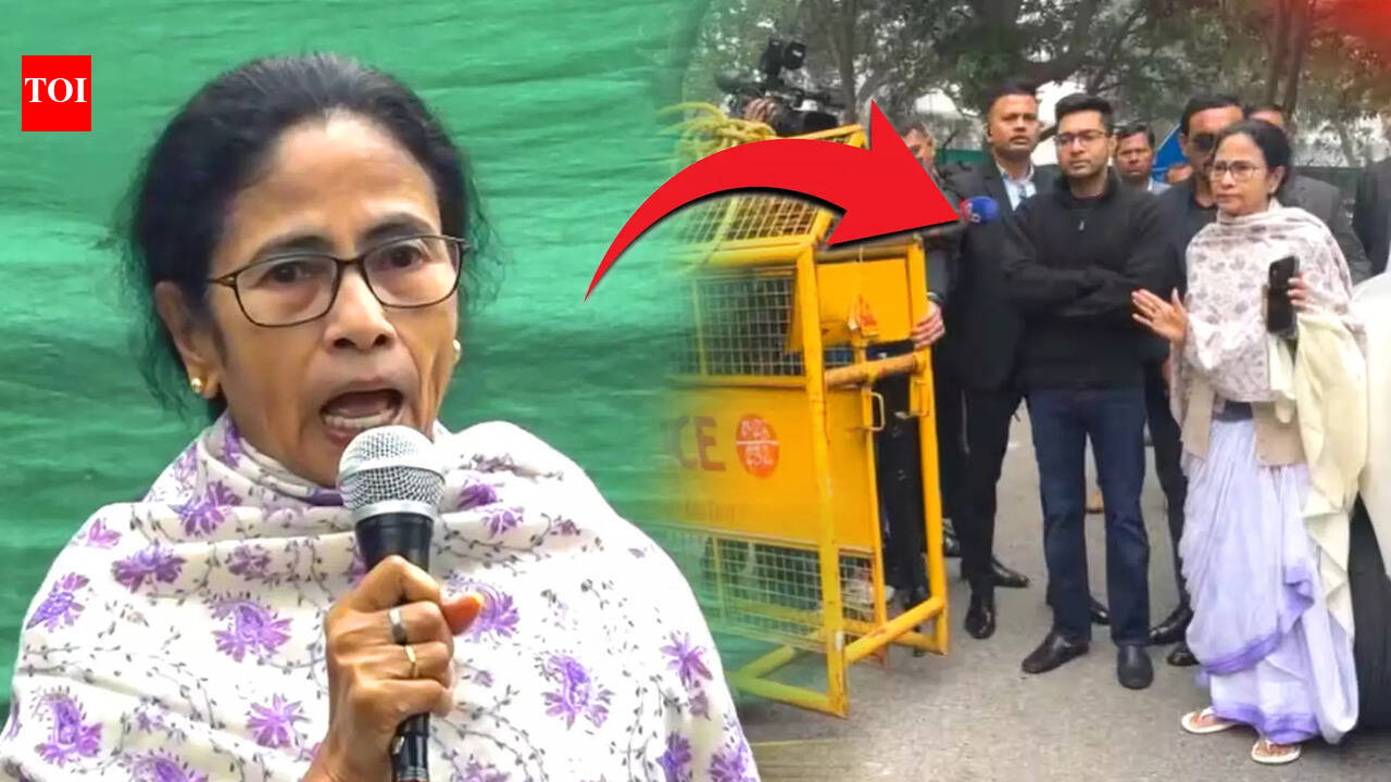 We Are Here After Official Appointment’: Mamata Slams Delhi Police at Banga Bhavan