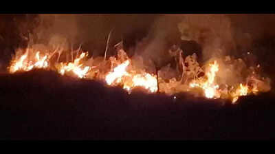 Forest fire breaks out at Karnataka’s Charmadi Ghat; highway covered in thick smoke