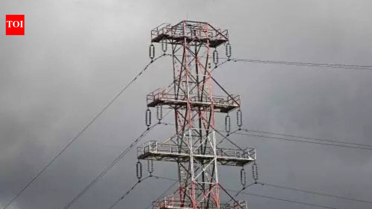 Gridco seeks hike in bulk power supply price for 2026-27