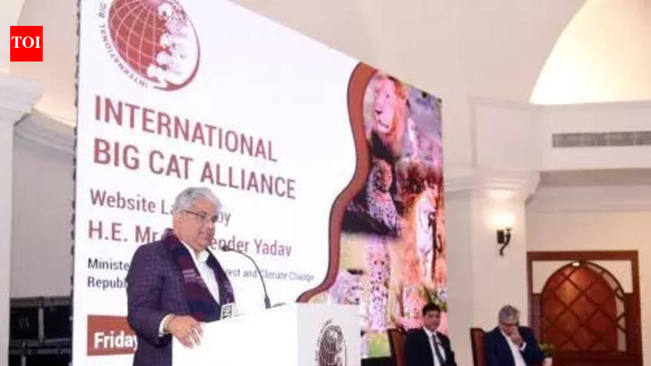 Global Big Cats Summit to boost Vid tiger landscape