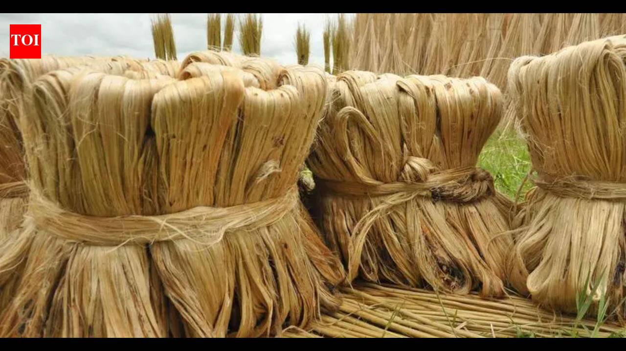 राष्ट्रीय फाइबर योजना से जूट को बढ़ावा: मिल मालिकों का कहना