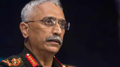 Gen Naravane's memoir: Rules bar retired officers from publishing classified info