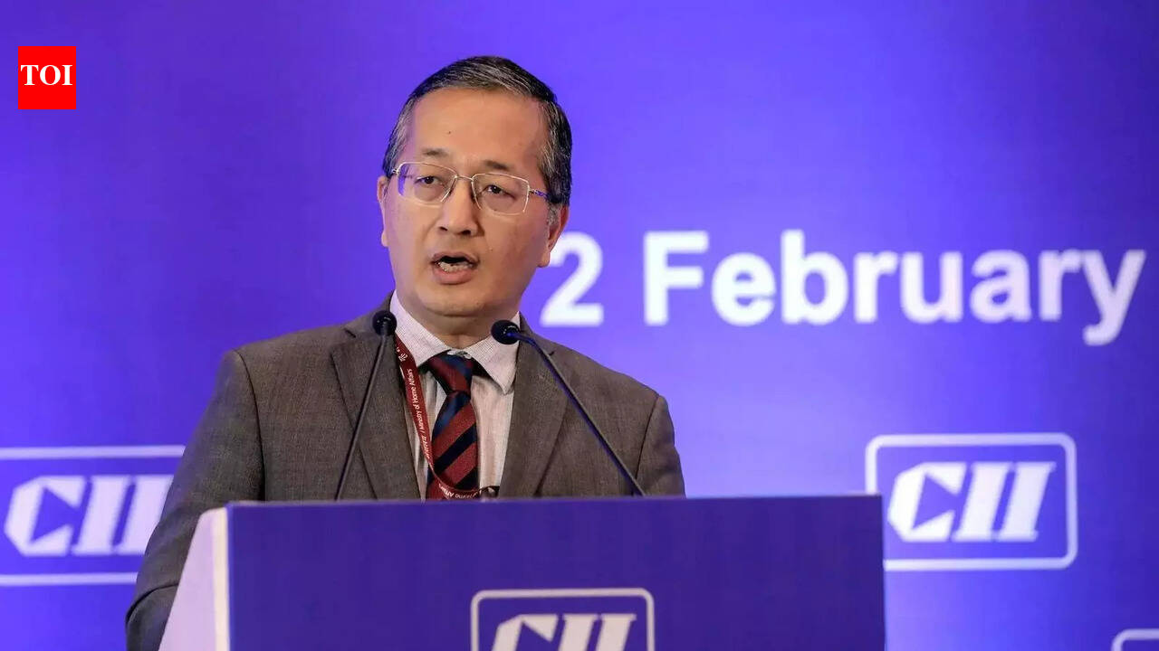 Interview | ‘PPPs in railways should start, Delhi station likely on the list’: V Vualnam