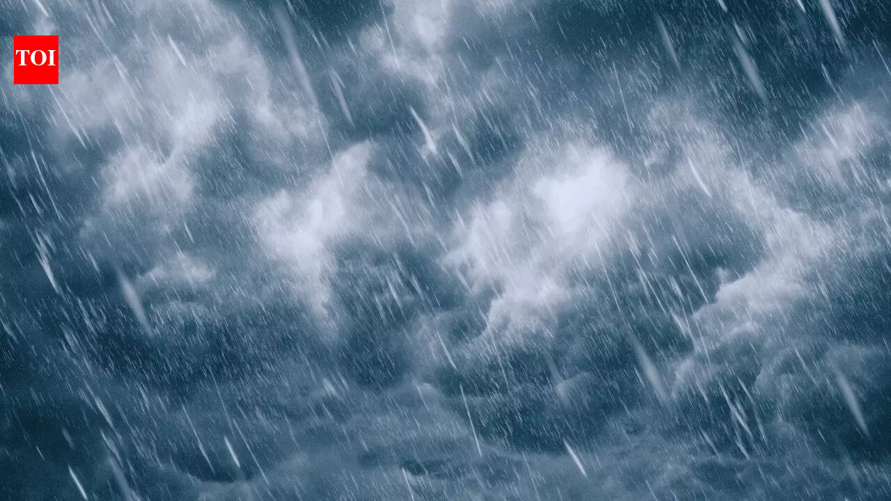 Fog, storms and rough seas - What IMD’s early February forecast means for road trips, flights and coastal travel?