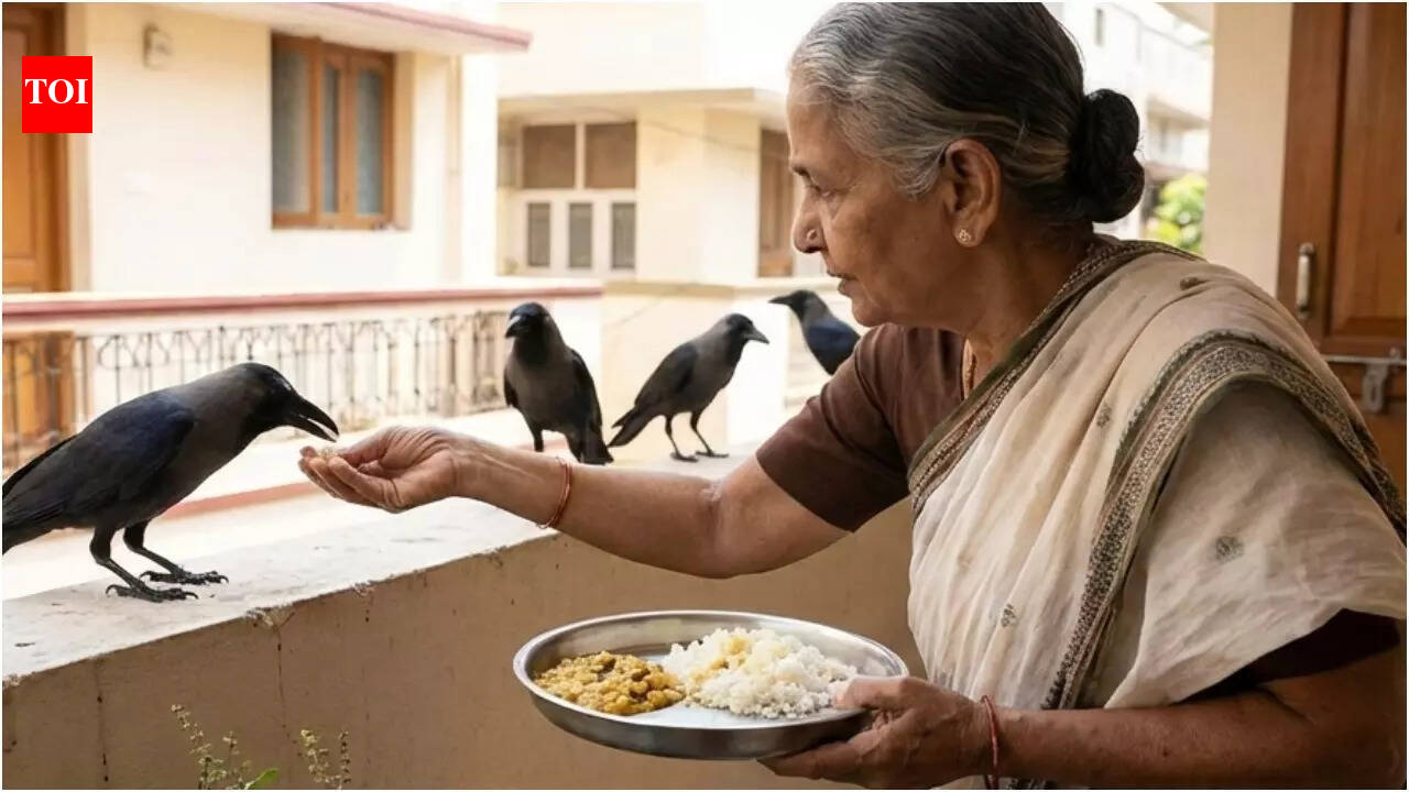 Not just on Pitru Paksha: What does feeding Crows every day truly mean spiritually and astrologically?