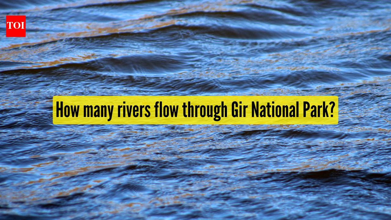 How many rivers flow through Gir National Park? A closer look at its lifelines