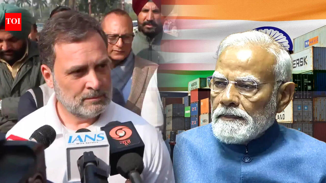 'PM under pressure': Rahul links Adani, Epstein to India-US trade deal