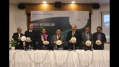 World Wetland Day 2026 - Guardians of the marsh: Honoring ancestral wisdom in the fight for our wetlands