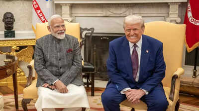 'India got best deal': Piyush Goyal hails trade pact with US; credits PM Modi for championing agriculture, dairy sectors - key details