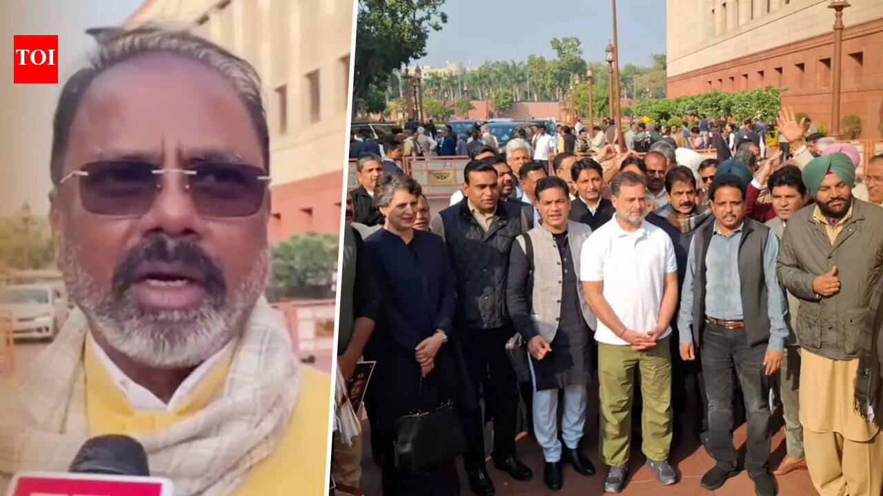 'Called Me Yaar, Threw Papers': TDP MP Tenneti Slams Eight Suspended Lok Sabha MPs