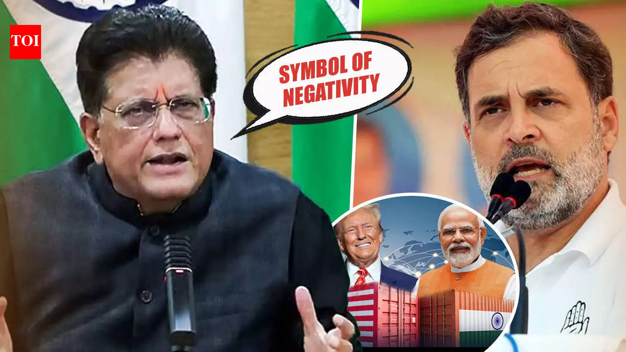 'Symbol Of Negativity': Goyal Rains Fire On Rahul Gandhi After US-India Trade Deal, Parl Ruckus