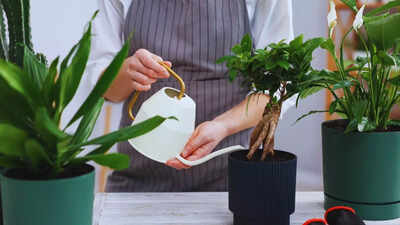 பழைய, உடைந்த பாத்திரங்கள் மற்றும் சமையல் பாத்திரங்களின் 5 அற்புதமான பயன்பாடுகள்