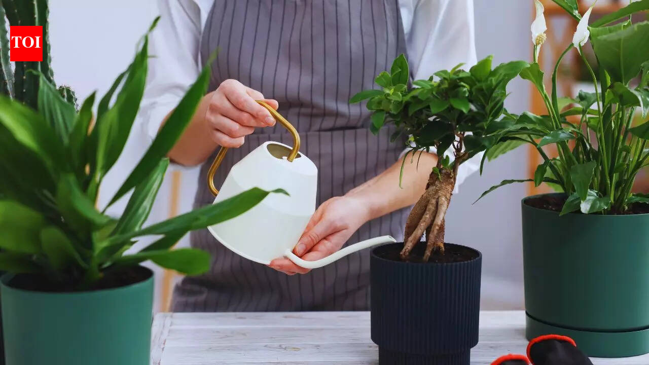 पुराने, टूटे हुए पैन और कुकवेयर के 5 शानदार उपयोग |