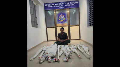 Panchmahal SOG seizes stolen rifles, air guns from Godhra house, shop