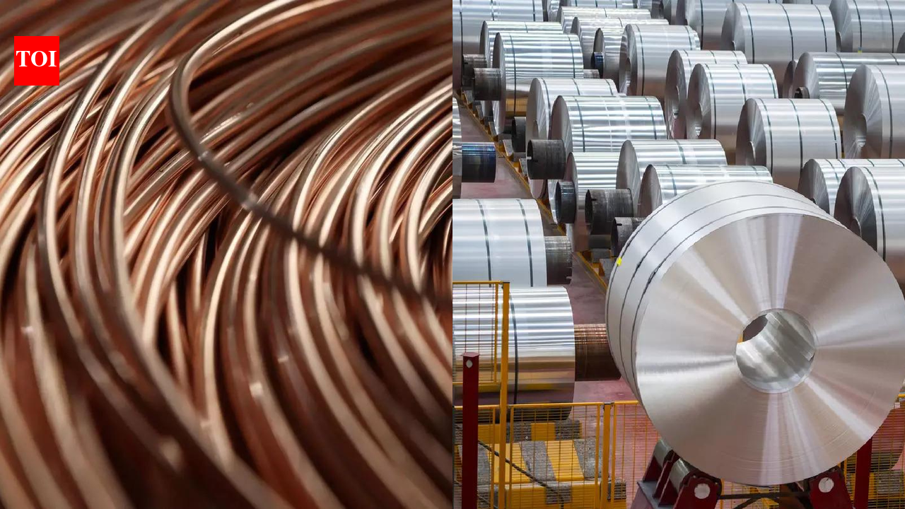 India-US trade deal: Steep tariffs to stay for steel, copper and aluminium