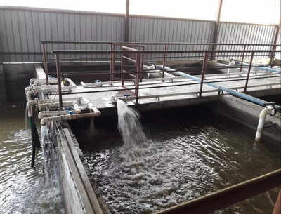 Rivers, groundwater under threat as STPs in societies fall into disuse in Pune and Pimpri Chinchwad