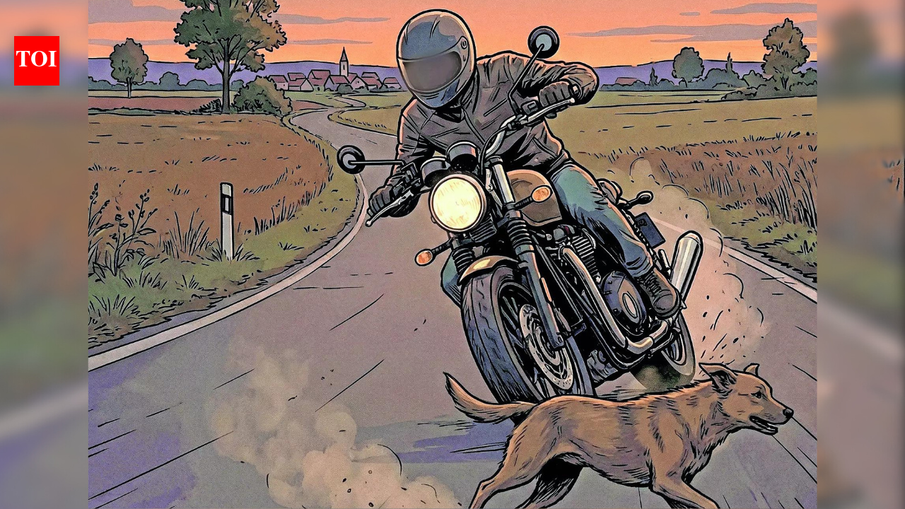 Dog on road, delay in care: Rider ‘booked’ for own death in Gujarat