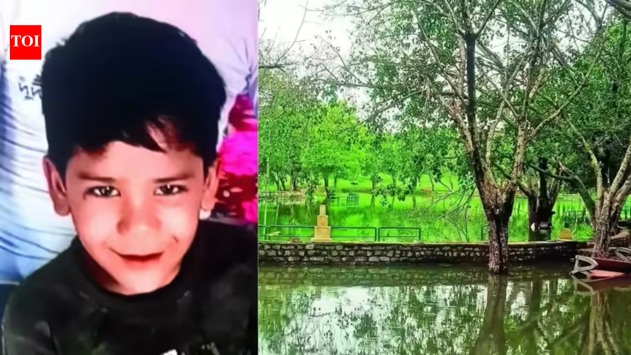 A park visit that turned fatal: 7-year-old drowns in DDA pond in Rohini; family waits for answers, accountability a year on