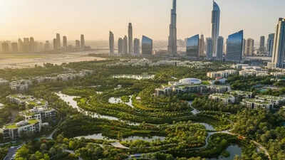 Dubai set to adopt China’s ‘Sponge City’ model — What the future city could look like