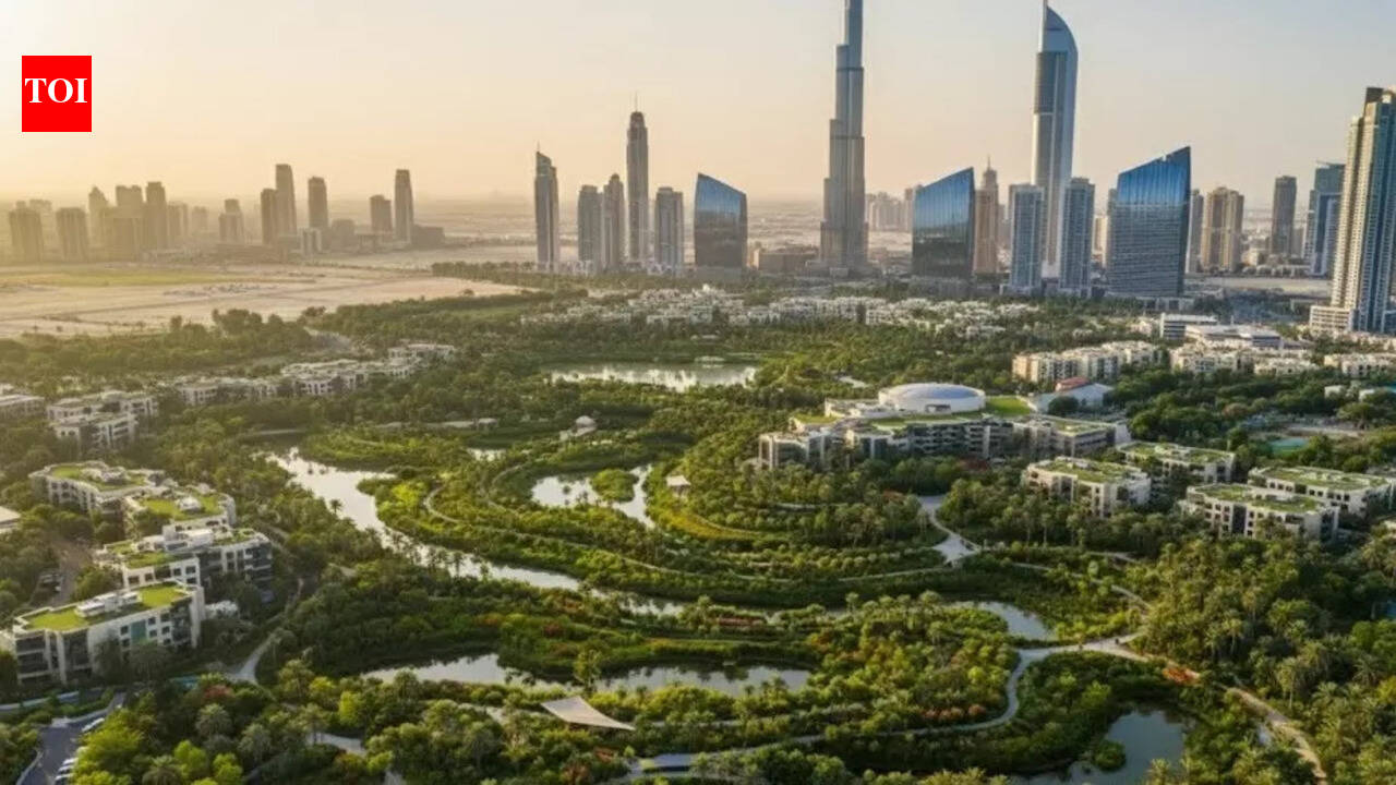 Dubai set to adopt China’s ‘Sponge City’ model — What the future city could look like