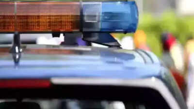 Jaw slashed, neck cut, body dragged: Woman killed after resisting rape bid in MP; accused lynched by angry mob