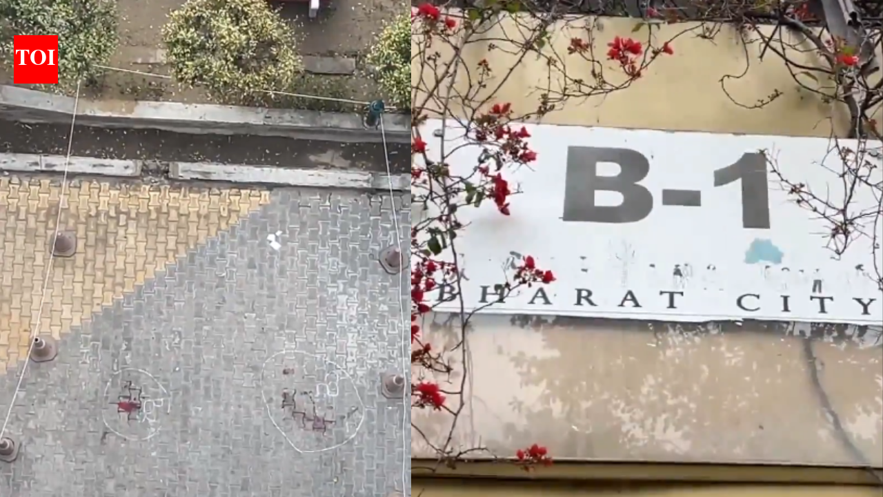 'All lived together, jumped together': Ghaziabad sisters’ deaths shrouded in mystery; how gaming habit during Covid times turned fatal