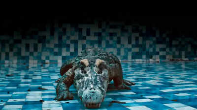 Bejoy Nambiar ignored crew warnings to use real crocodile in Shanaya Kapoor-Adarsh Gourav led ‘Tu Yaa Main’: 'Would be worth it'