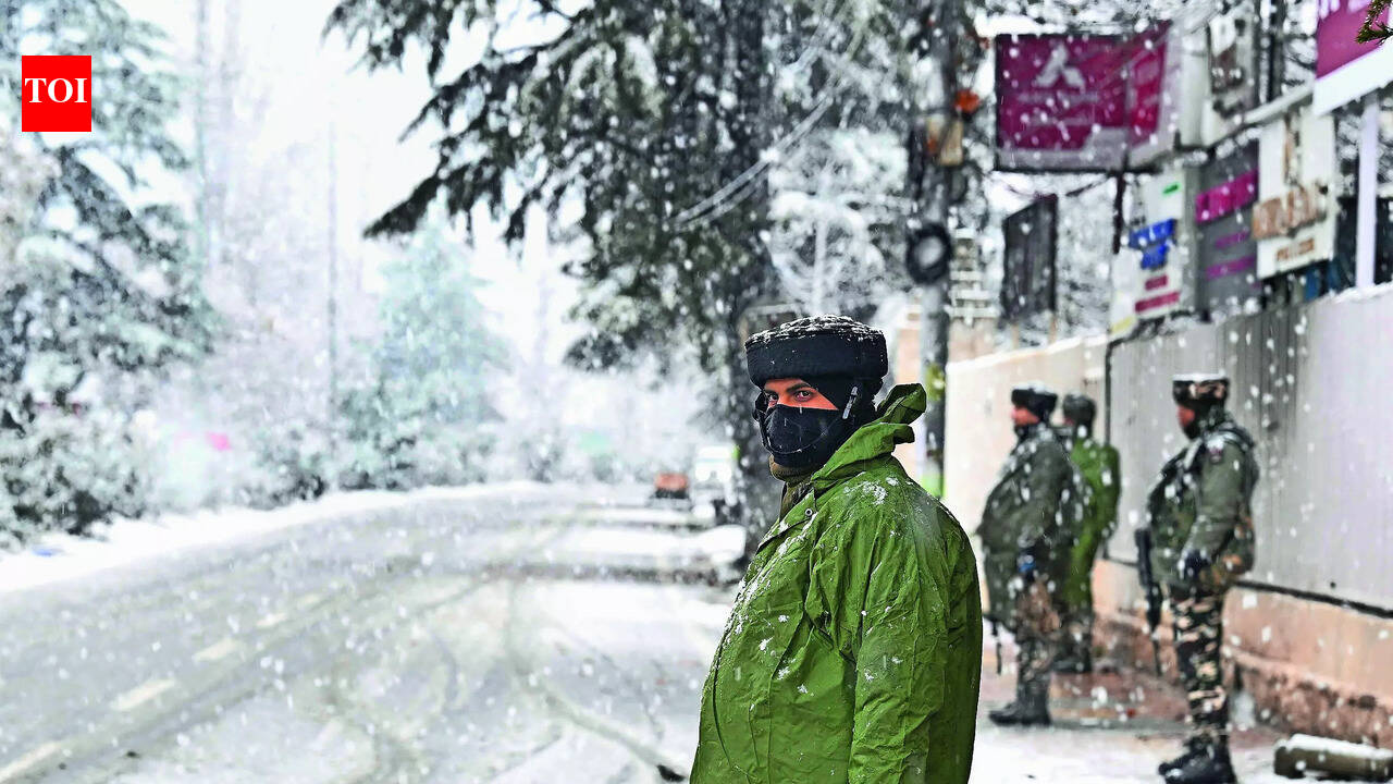 Top JeM operative among 3 shot dead in J&K ops