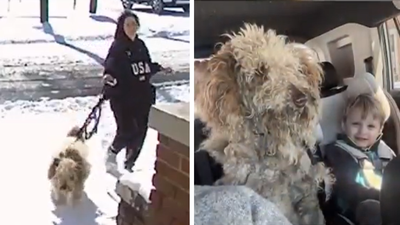 'Baffled and confused': US woman faces charges for rescuing abandoned dog from freezing snowstorm