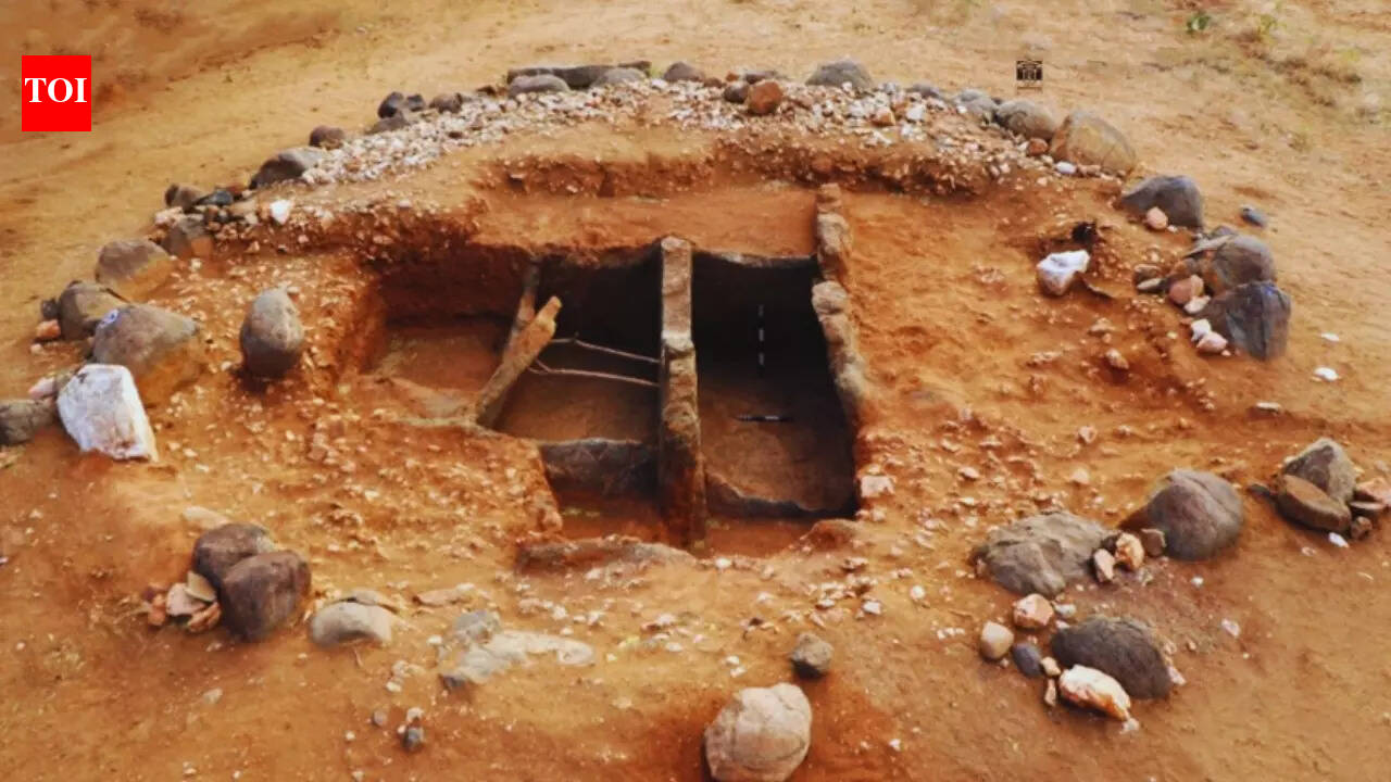 A history traveller's delight: Ancient treasures and tools recovered at Kodumanal in Tamil Nadu., ASI confirms in detailed report