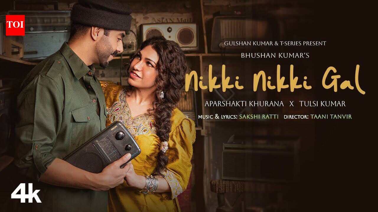 Experience The New Punjabi