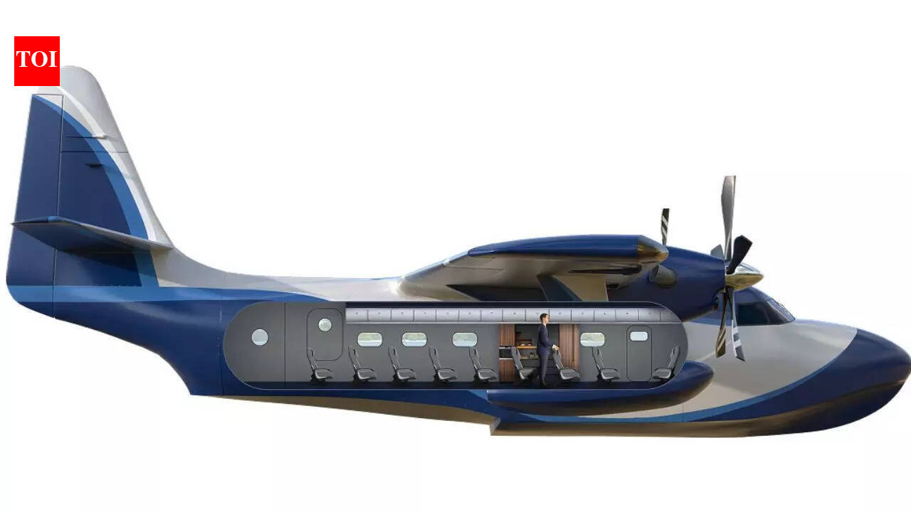 Seaplanes ahoy: Amphibian Aerospace Industries getting Albatross 2.0 to India
