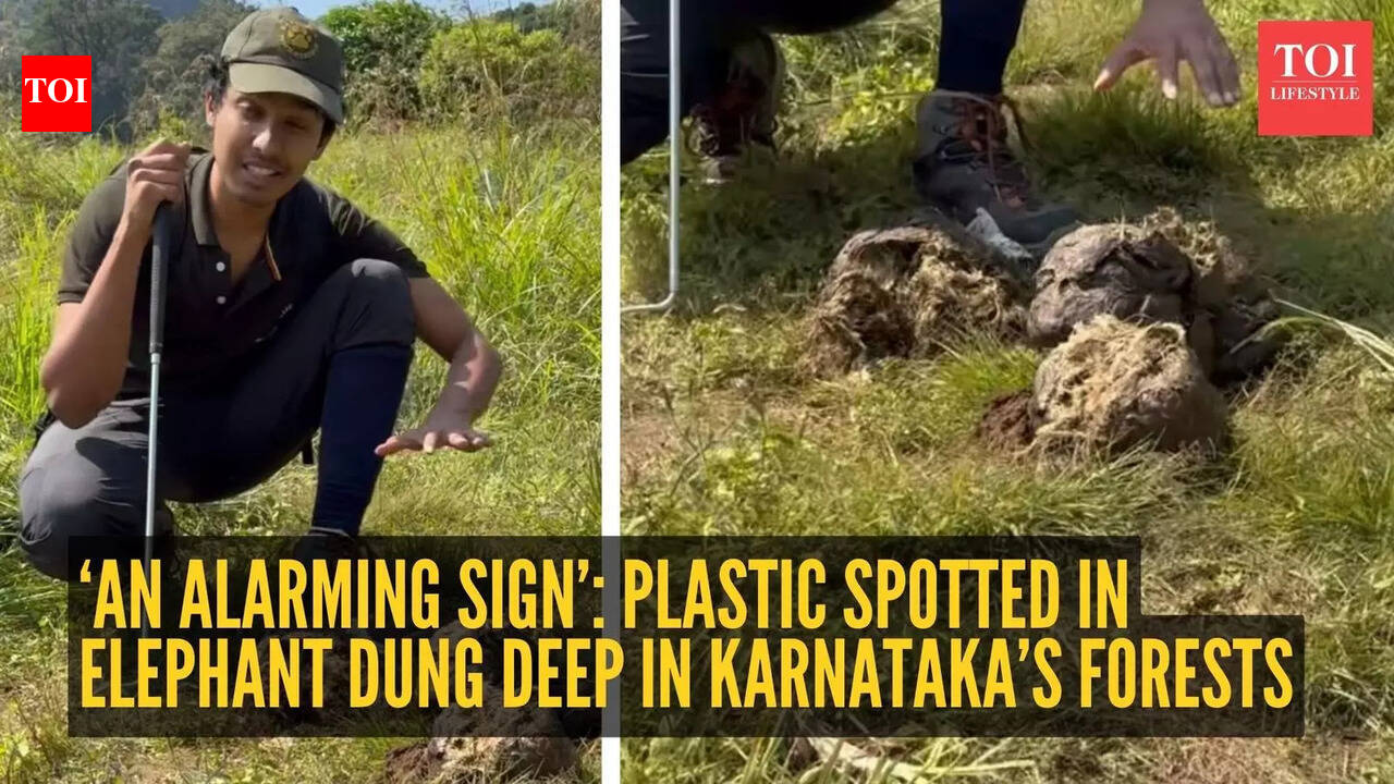 ‘An alarming sign’: Plastic spotted in elephant dung deep in Karnataka’s forests