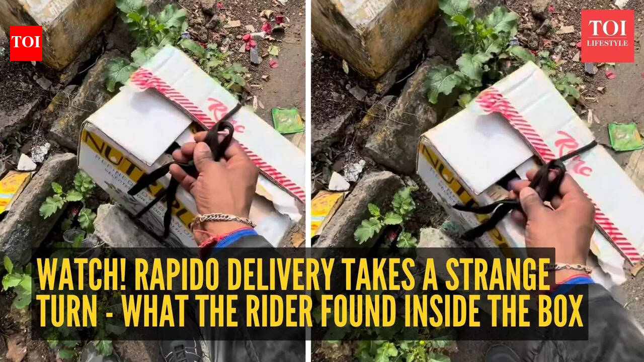 Watch! Rapido delivery takes a strange turn - What the rider found inside the box