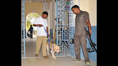 K9 squad helps crack close to 300 cases in Mysuru city in the past five years