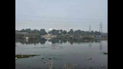 Another plot filled with drain water waits to be fenced, now in Sorkha