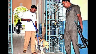 K9 squad helped crack close to 300 cases in past 5 years