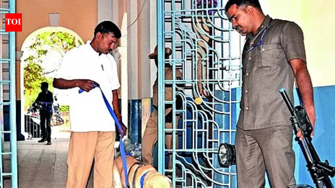 K9 squad helped crack close to 300 cases in past 5 years