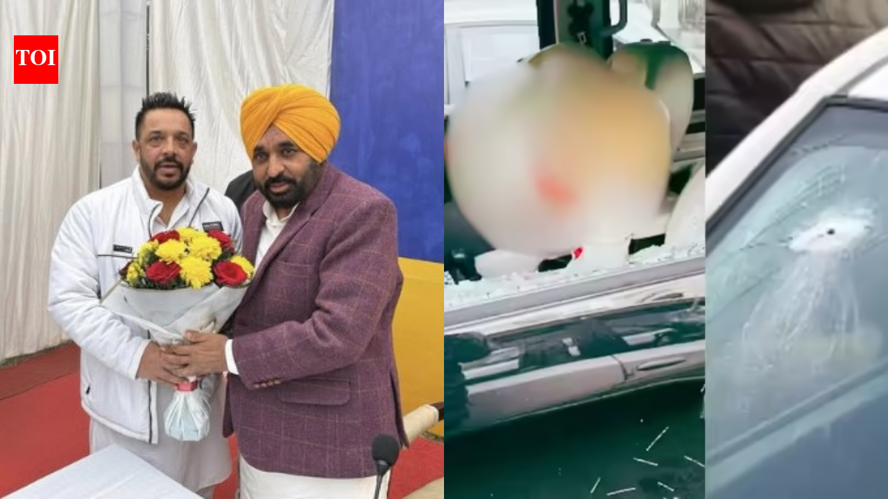 Who was Lucky Oberoi: AAP leader, financier and builder gunned down outside Jalandhar Gurdwara