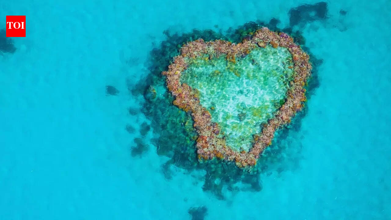 Valentine's Week Special: Famous heart-shaped destinations that are nature's marvels